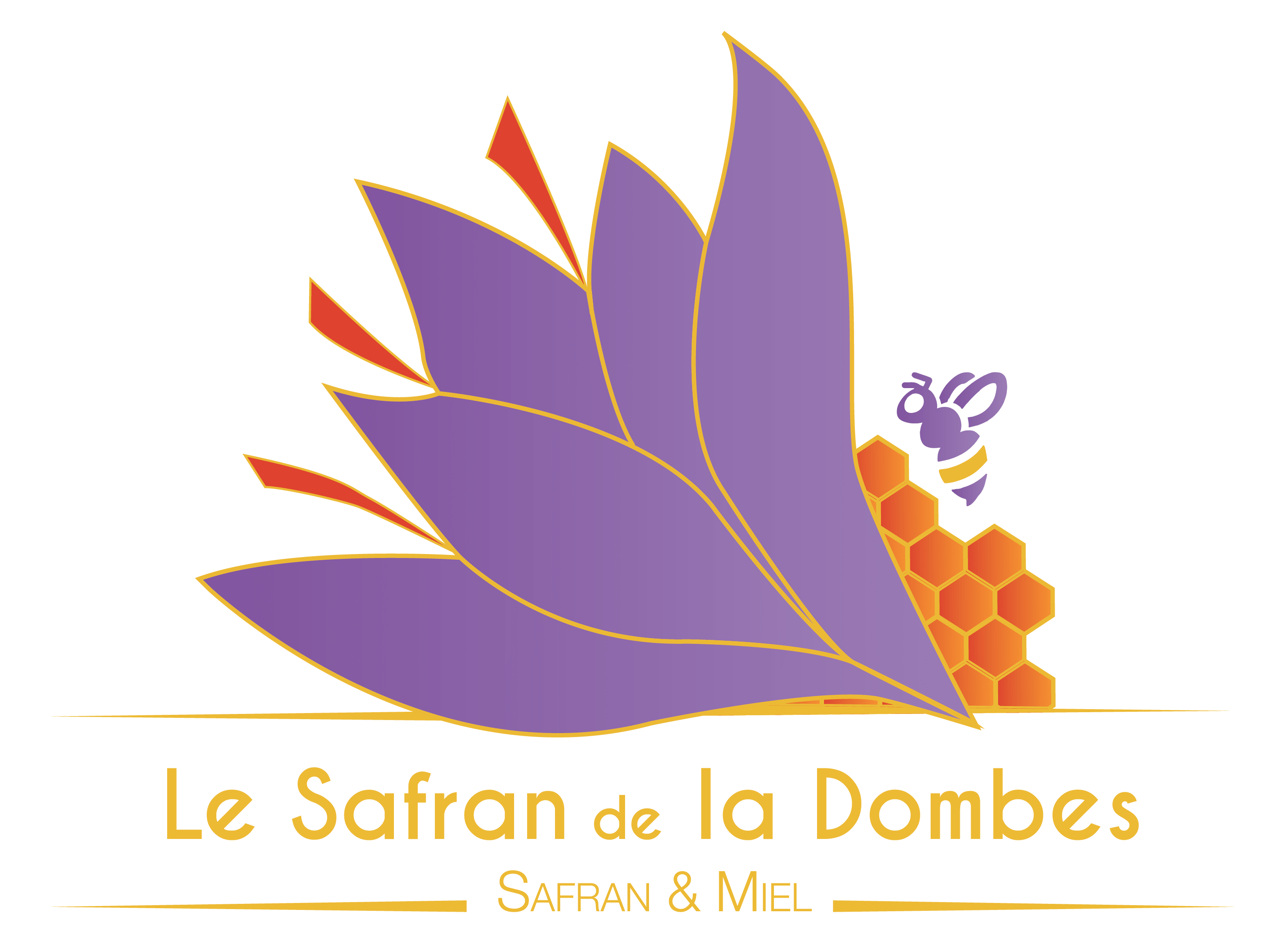 LE SAFRAN DE LA DOMBES